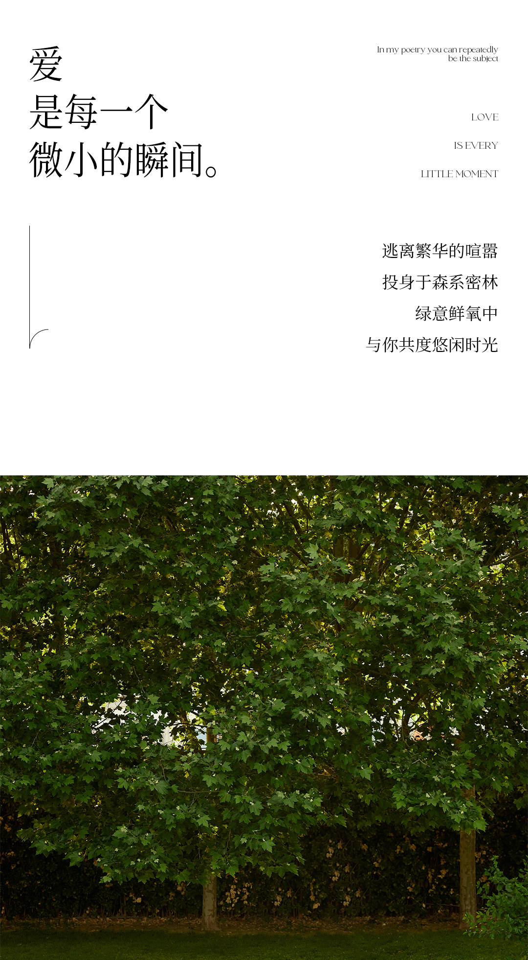 婚纱照客片1_02.jpg