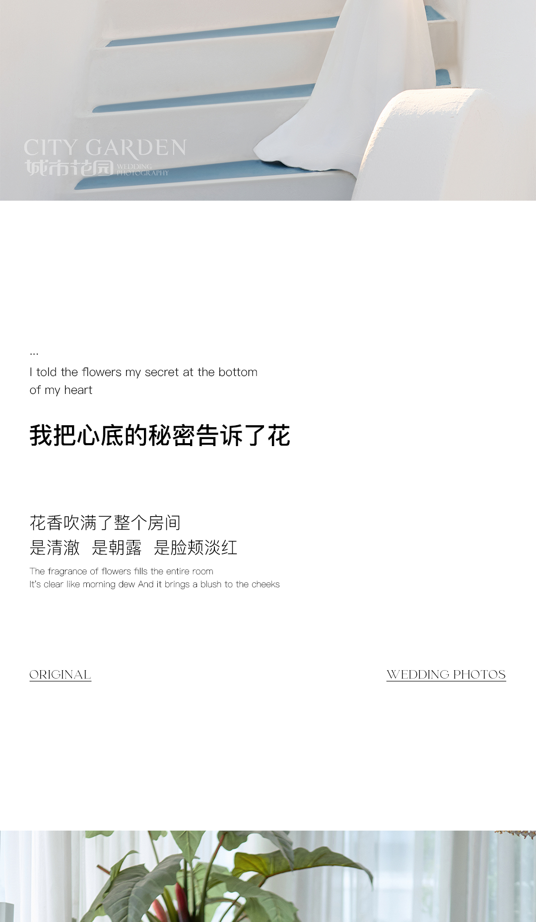 城市花园客片合集_13.jpg