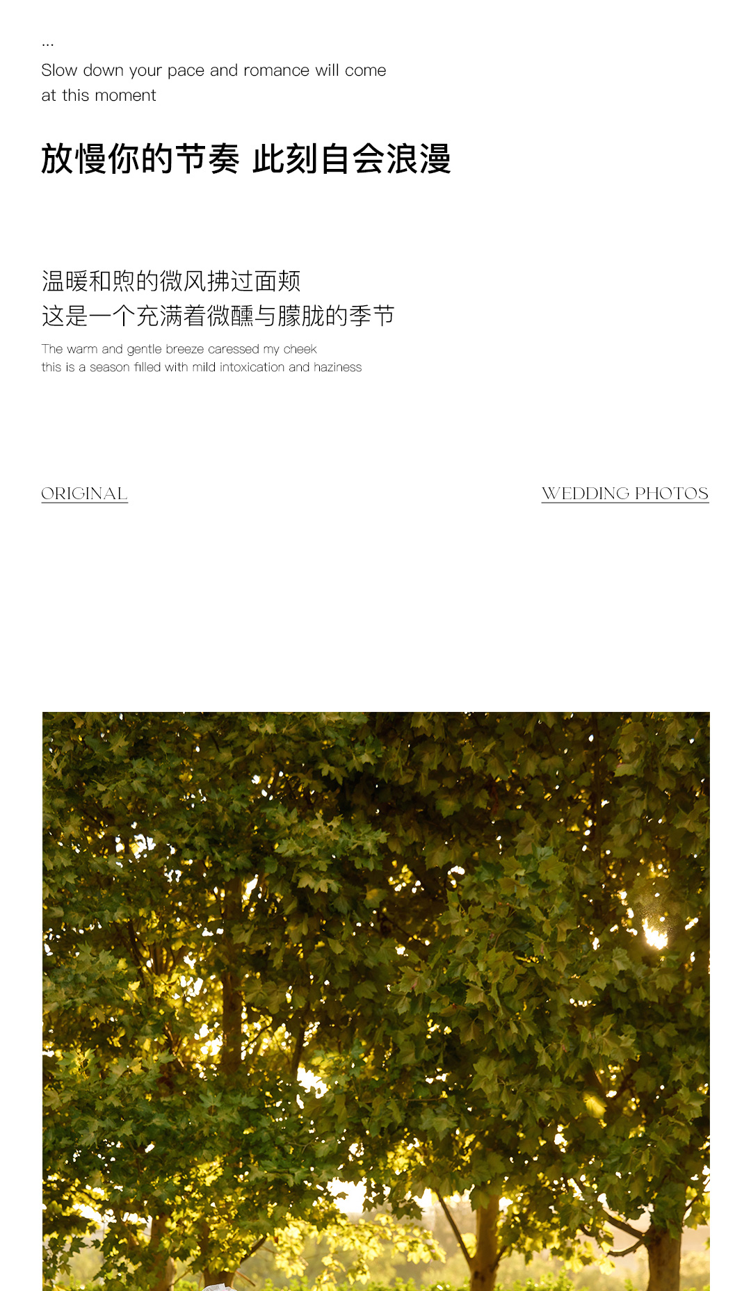 城市花园客片合集_02.jpg